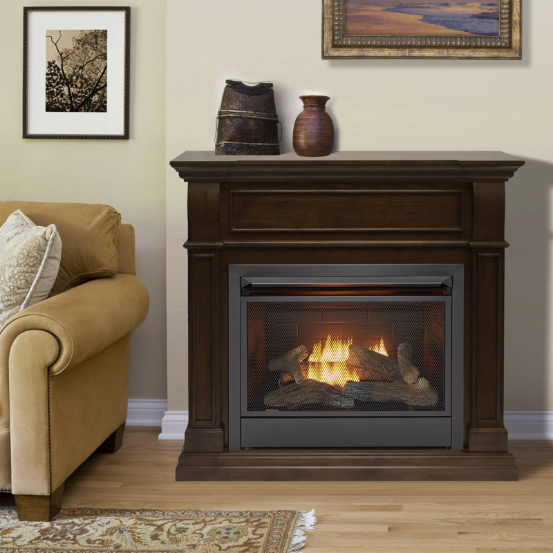 Zellmer 44'' W Ventless Fireplace, Walnut