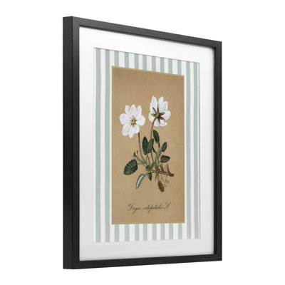 Reproduction sous verre encadrée de fleurs blanches et de rayures vertes, par lettrage et doublure
