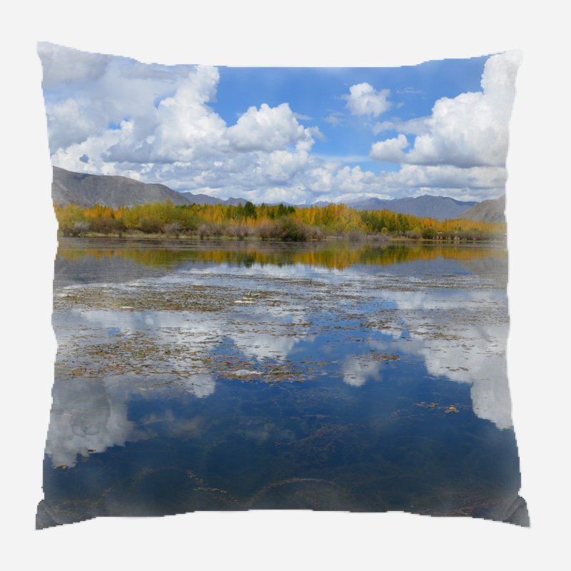 Housse et insert de coussin carré Haylee Pond, Microsuède, Intérieur