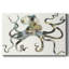 Toile tendue Octo-Gallery-700307028