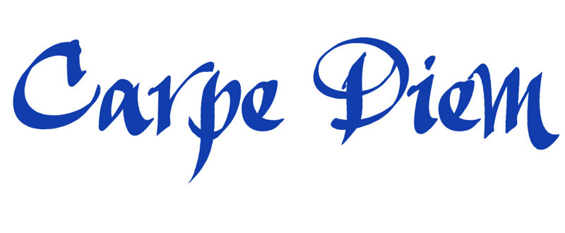 Décalcomanie murale indemnités journalières carpe diem, H 6 po x l 24 po x P 0,01 po, Bleu foncé