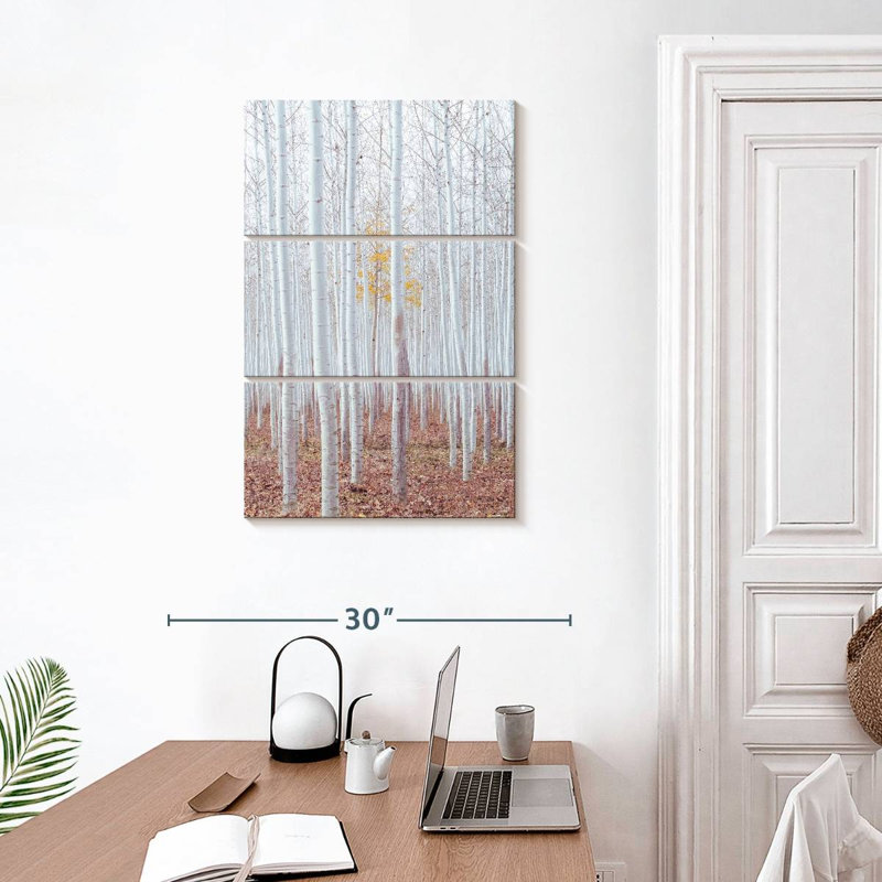 Harnek Birch Trees In Autumn, 32" H x 20" W
