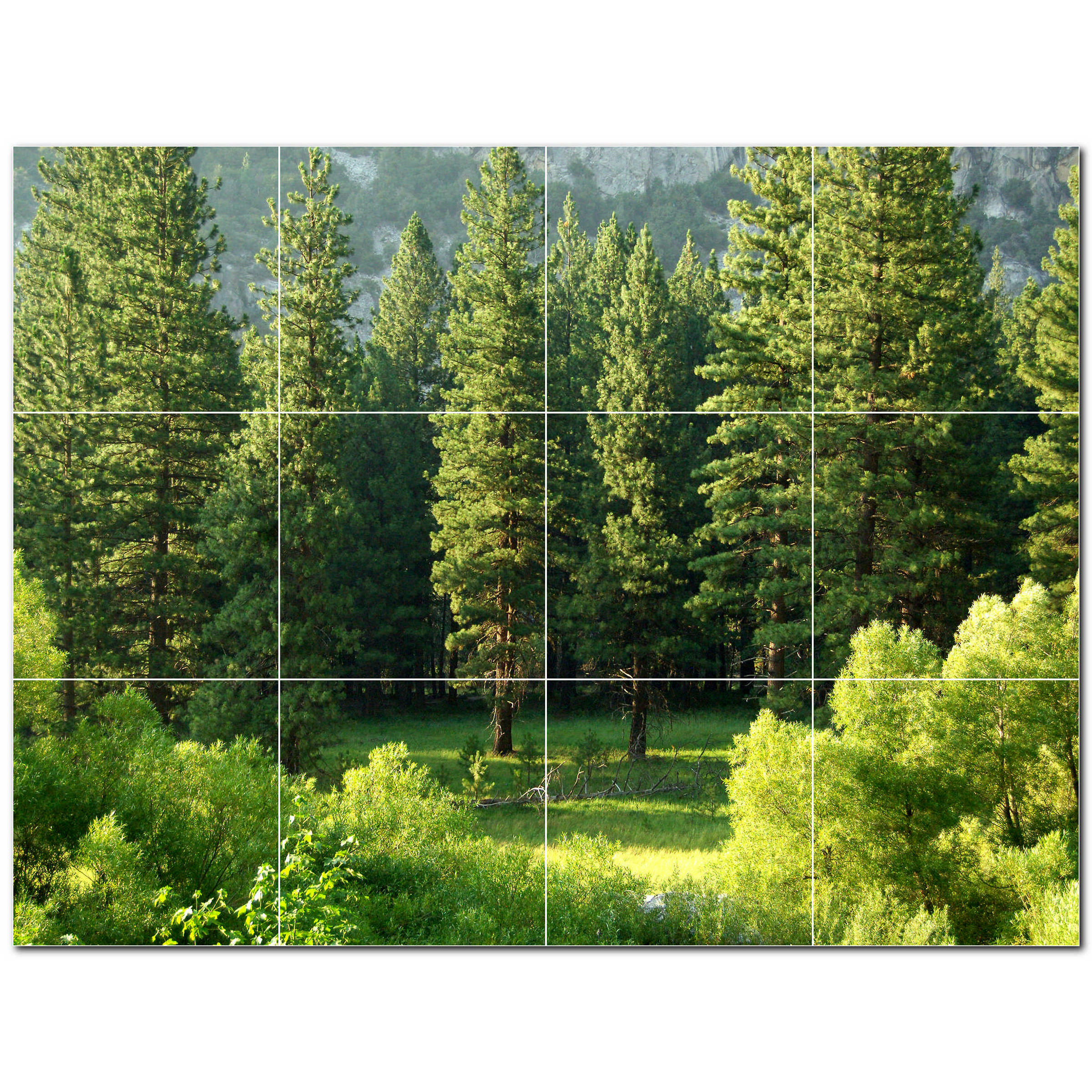 Picture Tiles Trees Photo 12 X 12 Satin Ceramic Decorative picture-tiles-trees-photo-12-x-12-satin-ceramic-decorative