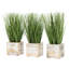 Indoor 3 Piece Artificial Green Grass Plants in Wood Pot