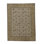 Wool Oriental Area Rug in Gold