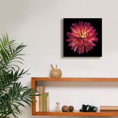 Toile épique Graffiti «Dahlia 3» par Debra Van Swearingen, 12 po x 12 po