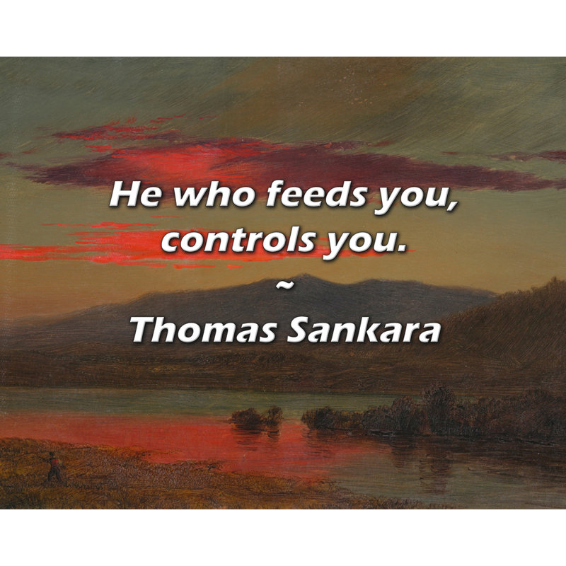 Citation artistique «Celui qui vous nourrit vous contrôle». Toile tendue par Thomas Sankara