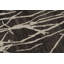 Silk Area Rug
