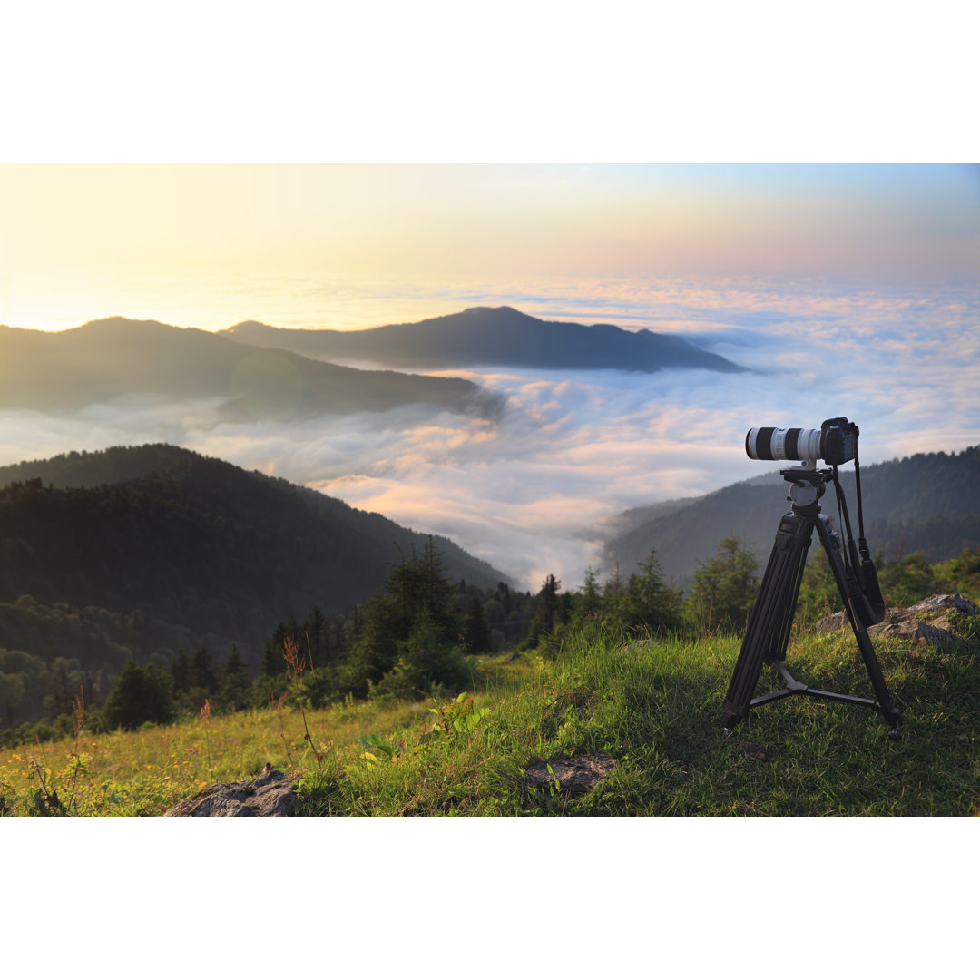 Naturfotos machen von Petekarici - Leinwandbild