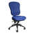 Blue is out of stock selected