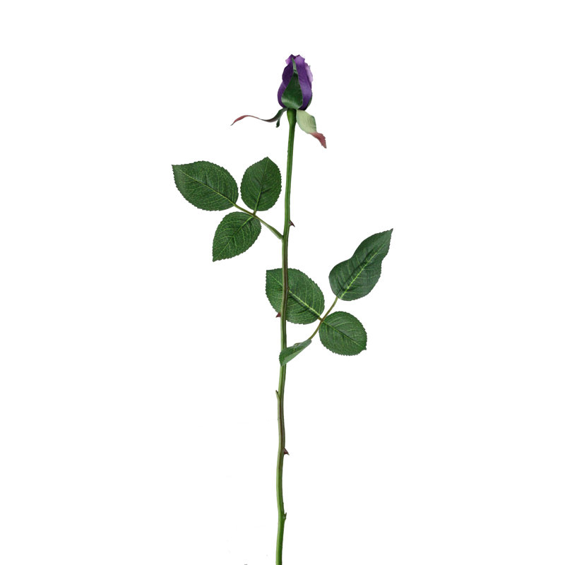 Jets de roses