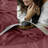 Ensemble de draps en percale 100% coton Classic Cool & Crisp 4 pièces-71013772-71013776