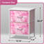 Shippensburg 2 Drawer Storage Drawer
