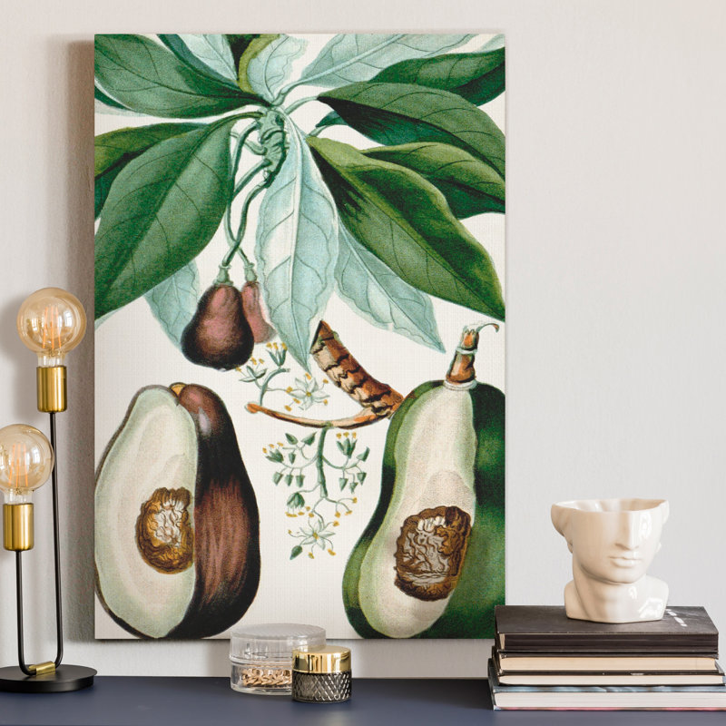 Reproduction d’art sur toile tendue « Turpin tropical fruit V », H 48 po x l 32 po x P 1 po