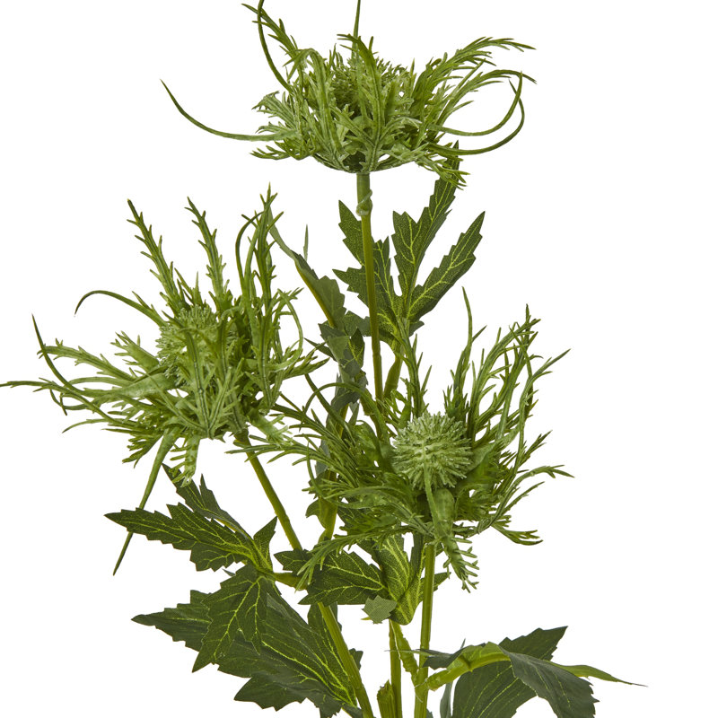 Sea Holly Spray, Green