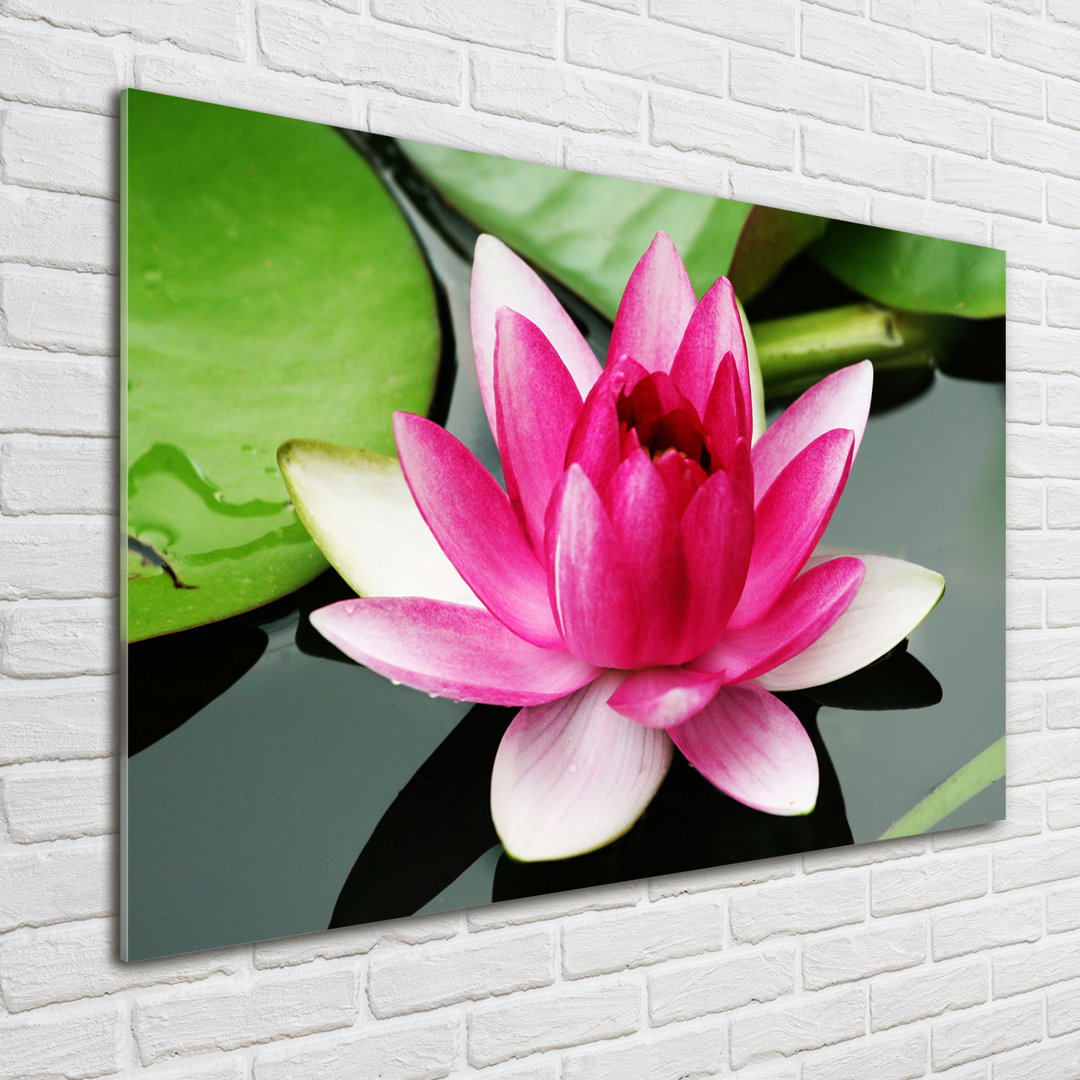 Glasbild Water Lily