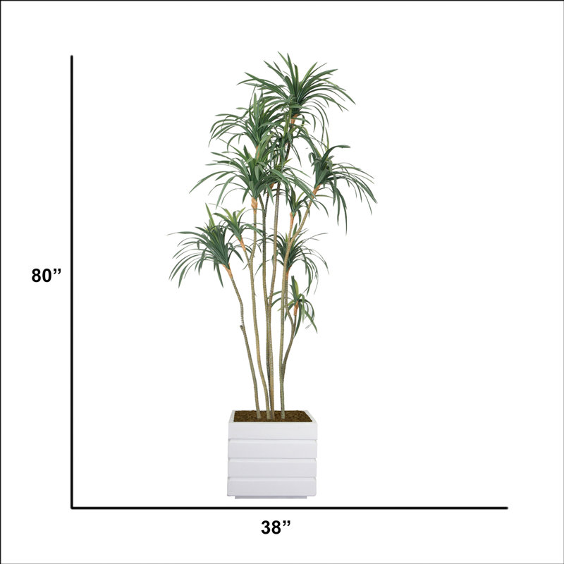 Dragon artificiel 80 po en pot, Blanc