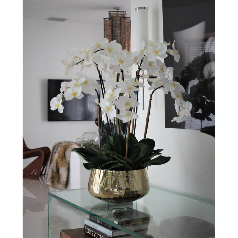 Roberi bowl with multiple stems of white Phalaenopsis orchids, 28" H x 18" W x 18" D, White