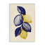 Esquisse botanique marine, dessin par Petal Prints Design-130761244-130761246