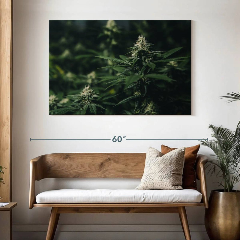 Fresh Marijuana, 32" H x 48" W
