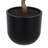 TREE LAUREL POT 7FT