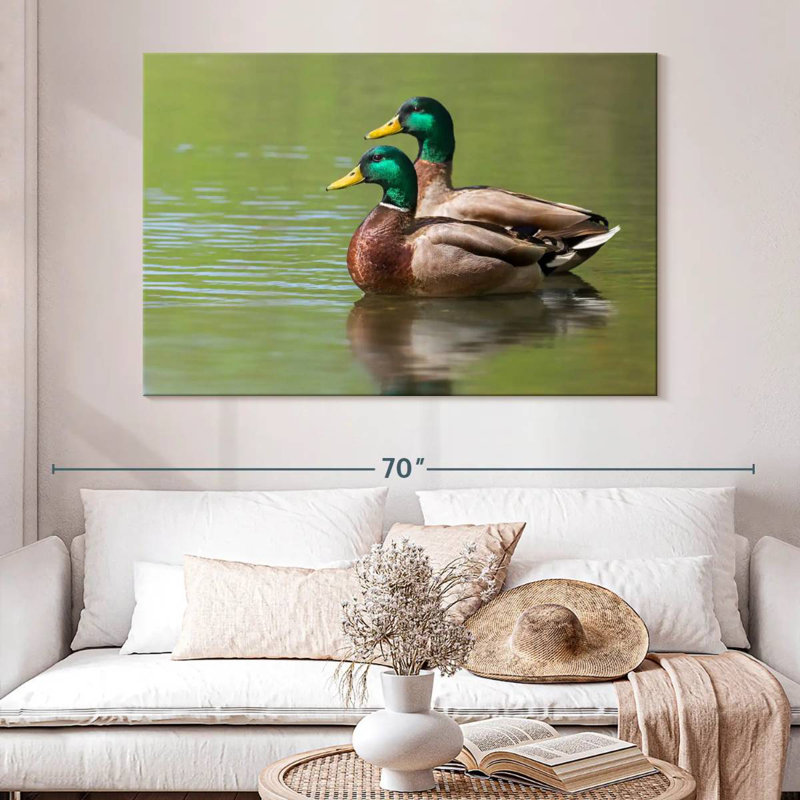 Couple de canards colverts Brampt, H 24 po x l 36 po