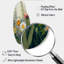 «Painted Blossoming Wildflowers VI - Bouquet floral», art mural asymétrique en métal-499182249