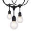 Kelvina Indoor / Outdoor 12 - Bulb 288 in. Plug-in LED Globe String Light