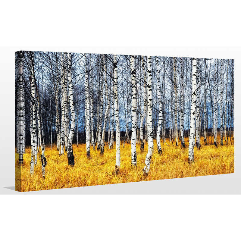 «Birch Trees 2», reproduction de photo sur toile tendue, H 36 po x l 60 po x P 1,5 po