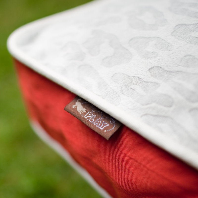 Serengeti Rectangular Pillow Dog Bed, Small (28" W x 20" D x 4" H)