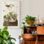 «Pl 193 Lincoln Finch», reproduction d'art sur toile-1472357997