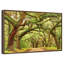 Charleston Oak Forest-1119509707-1119509699