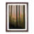 Walnut Framed