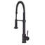 Apollo Pull Down Single Handle Kitchen Faucet with Side Spray and Accessories-1144738527