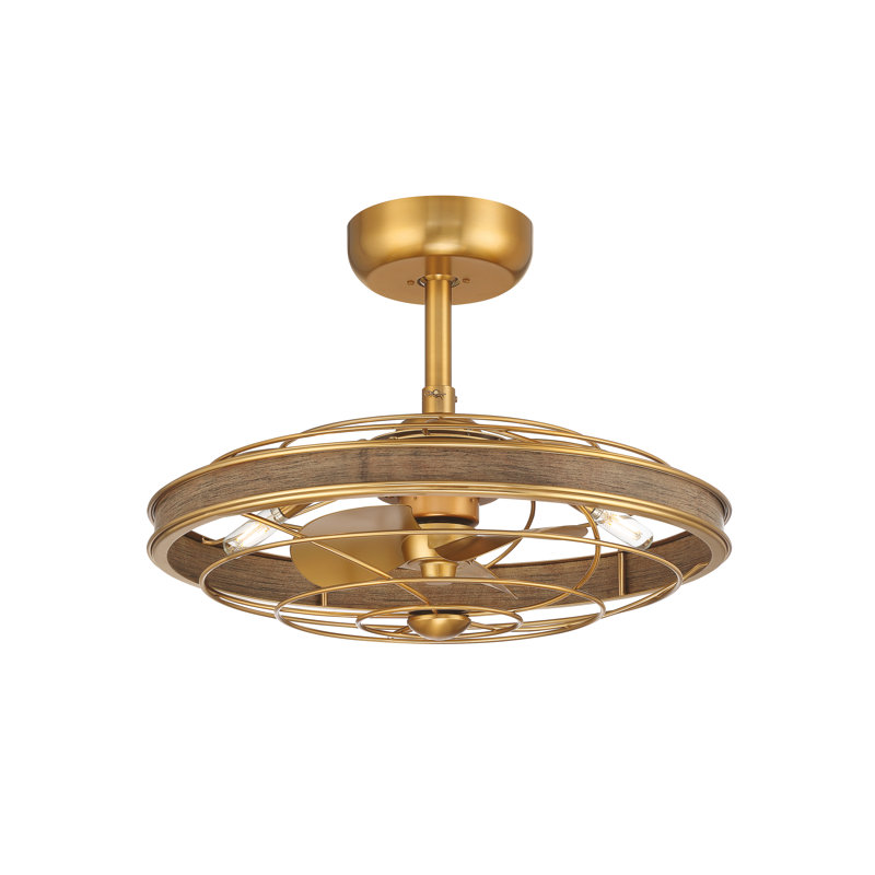 22" Eliana-Lucia 3 - Blade Chandelier Ceiling Fan with Remote Control and Light Kit Included, Brass