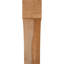 Attelle de genou Westlake-29310046-31230158-31230610