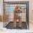 Carlson Metal Pet Crate-27272949