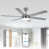Brushed Nickel with Gray Wood/Natural Wood Blades