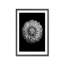 Nature Inspired Marigold by  - Picture Frame Photograph on Paper-81388030