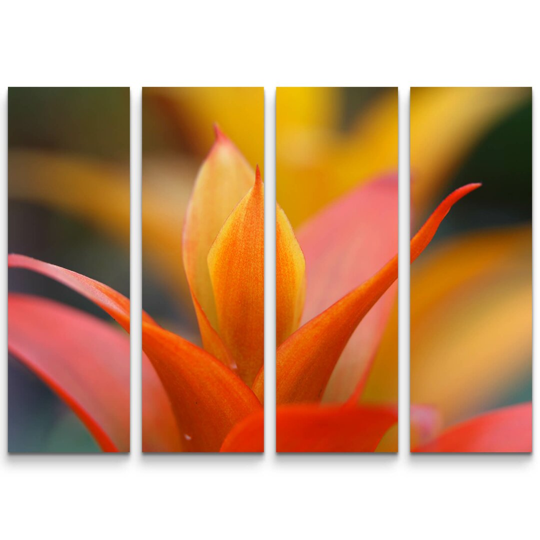 4-tlg. Leinwandbilder-Set Leuchtende Guzmania Blüte Bromelie