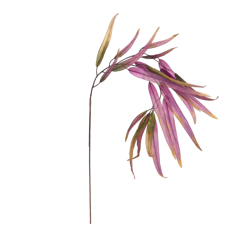 37-Inch Willow Eucalyptus Stem