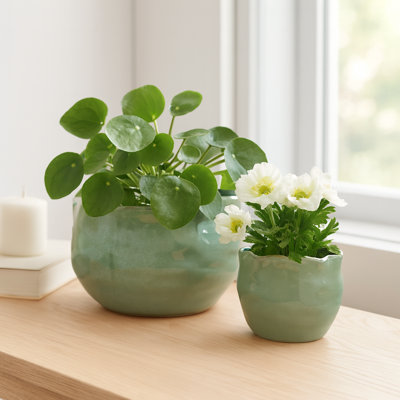 Jardinières décoratives rondes en céramique pour la décoration intérieure - Pots de fleurs minimalistes pour l'extérieur pour le salon intérieur et le patio - ensemble de 2, vert