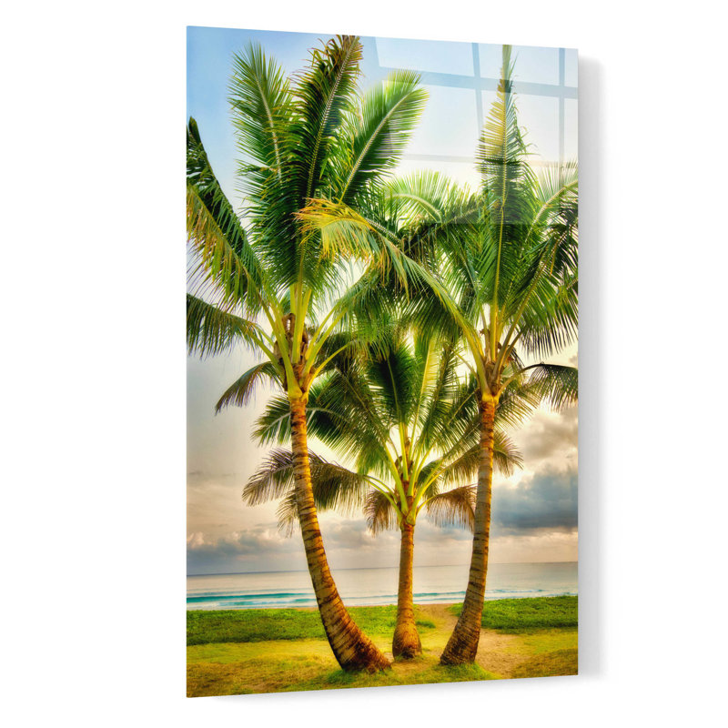 Triple Palm Triple Palm par Dennis Frates - impression sans cadre, H 24 po x l 16 po x P 0,2 po