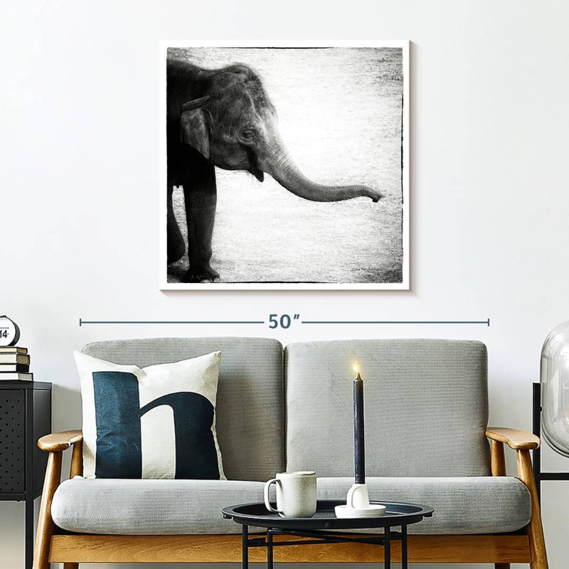 Crowle Baby Elephant Monochrome, H 30 po x l 30 po