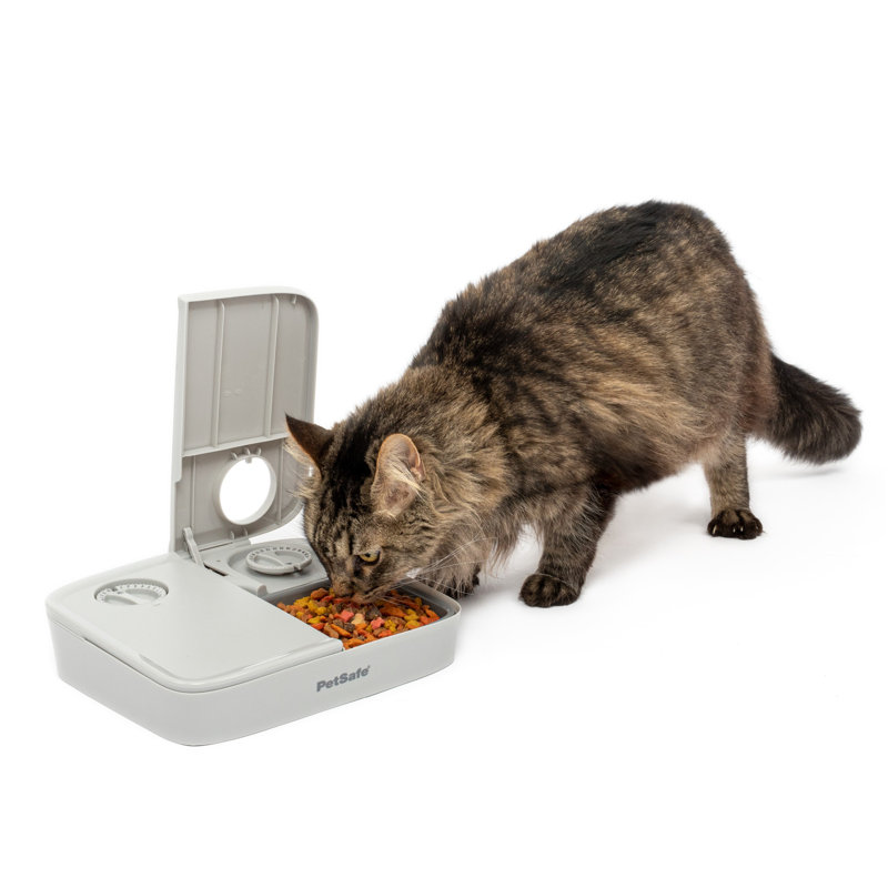 Gray 24oz Automatic 2-Meal Pet Feeder