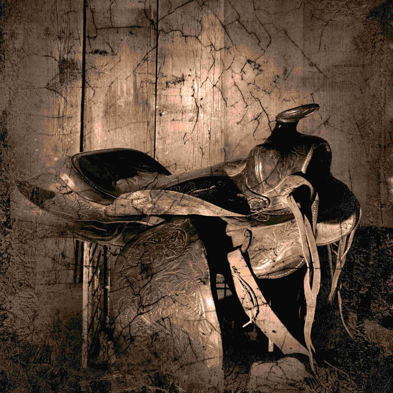 Cowboy Saddle - impression sur toile tendue, H 20 po x l 20 po