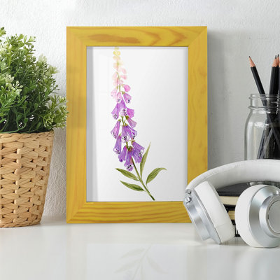 Annie's Foxglove II