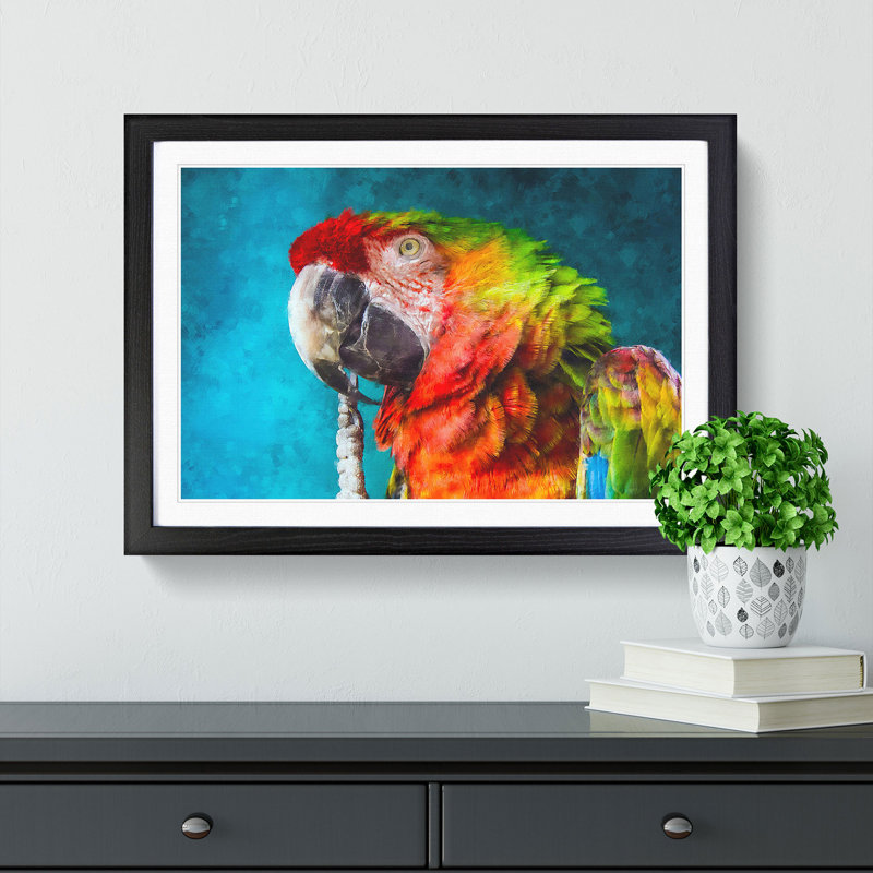 Rainbow Macaw Parrot - Framed Print, 62cm H x 87cm W x 2cm D, Black Framed