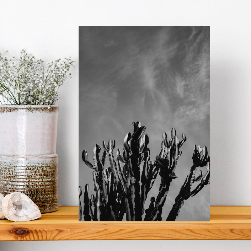 Monochrome Cactus Sky Abstract Contemporary Cactus Landscape Nature Wall Art Print 1 Piece Wrapped Canvas Wall Art