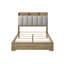 Lit Chittum-133289635